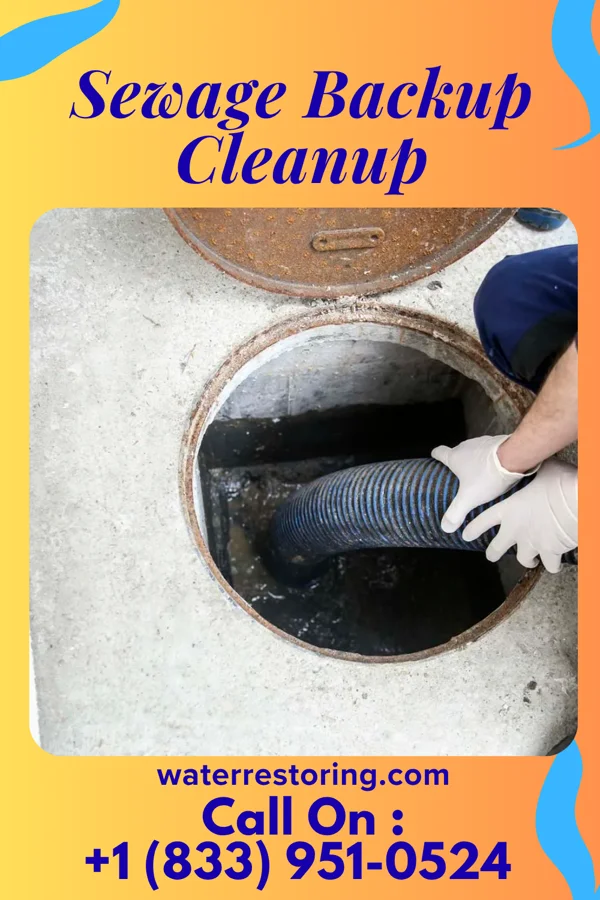 Sewage Backup Cleanup in Milton, IA